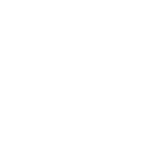 Web Development Icon