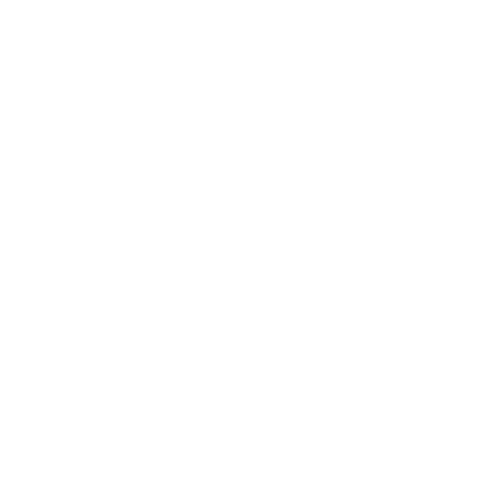 Social Media Management Icon